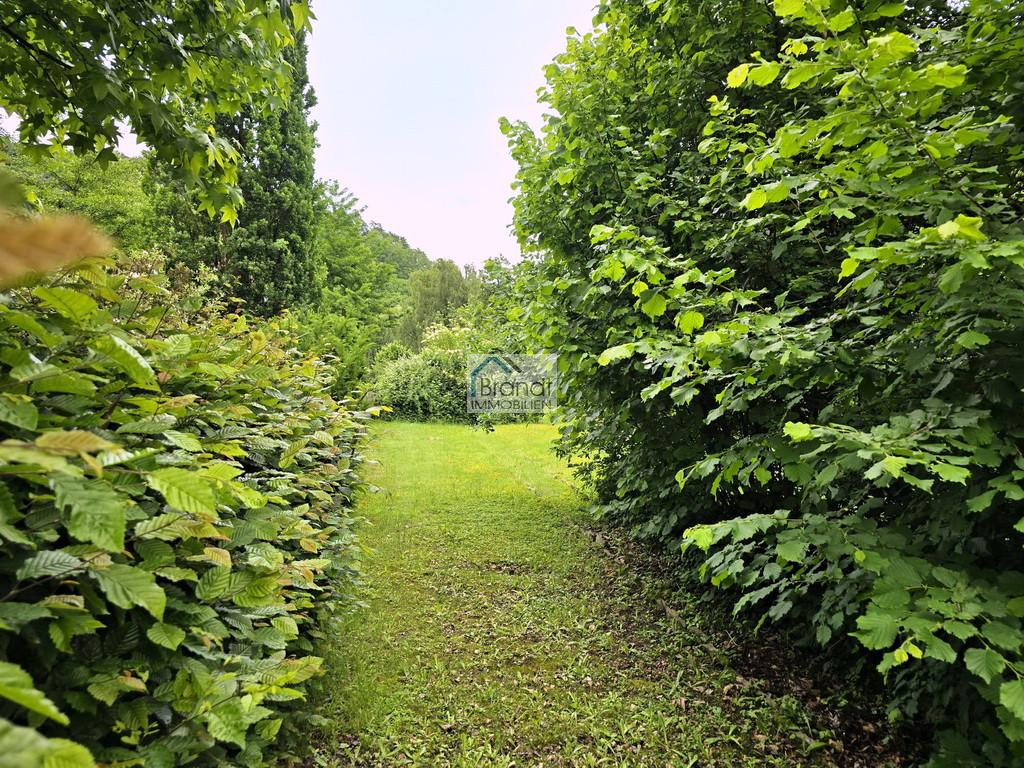 Seltene Gelegenheit - bevorzugte Lage 